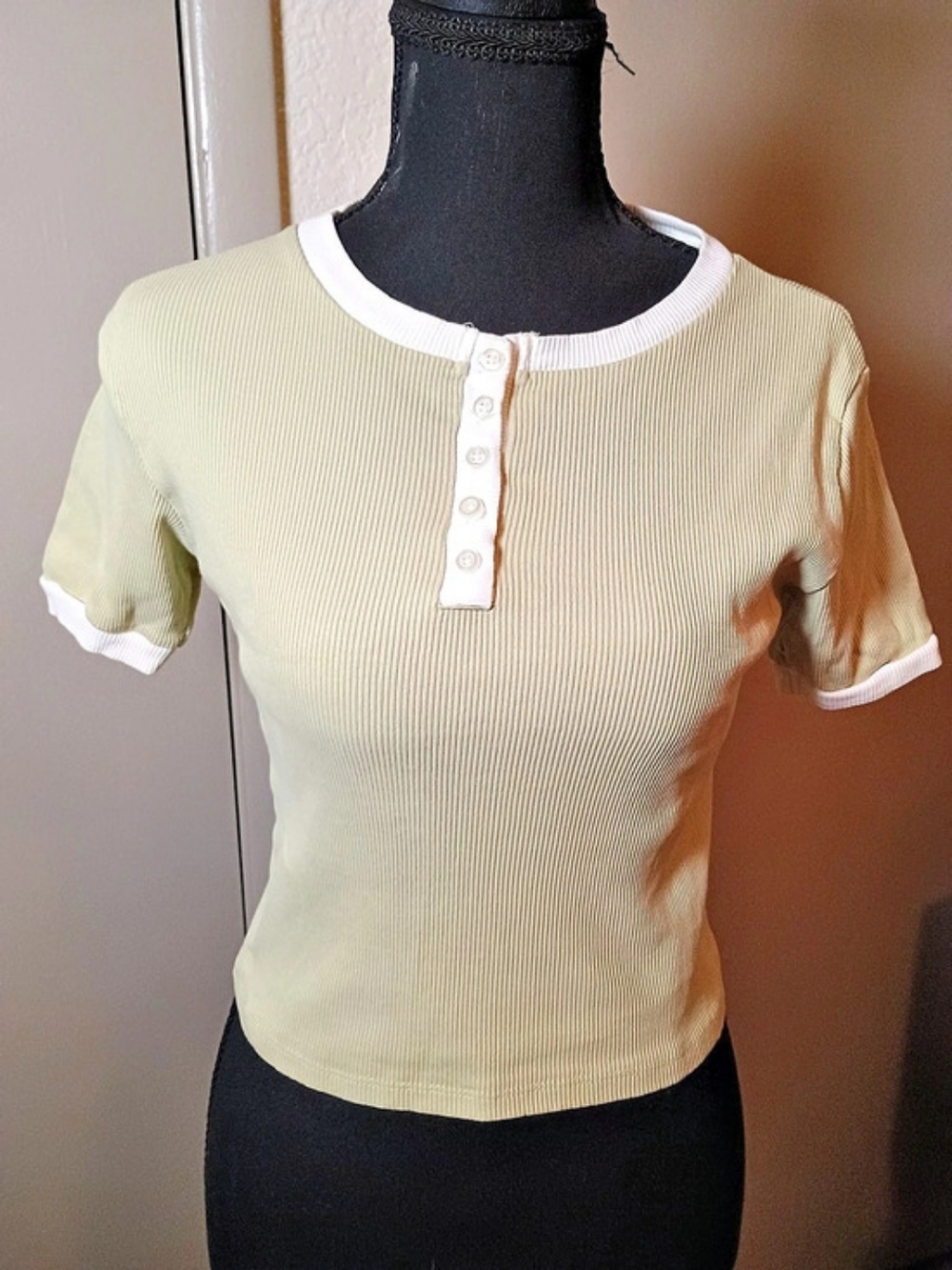 Fitz + EdDI Ribbed Short Sleeve Top in Green & White